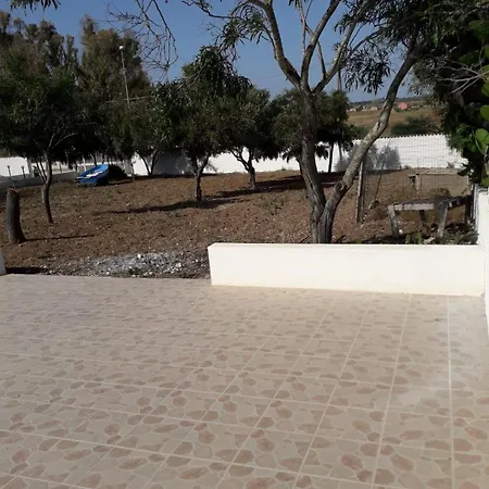 Tanoelvira レイタニ